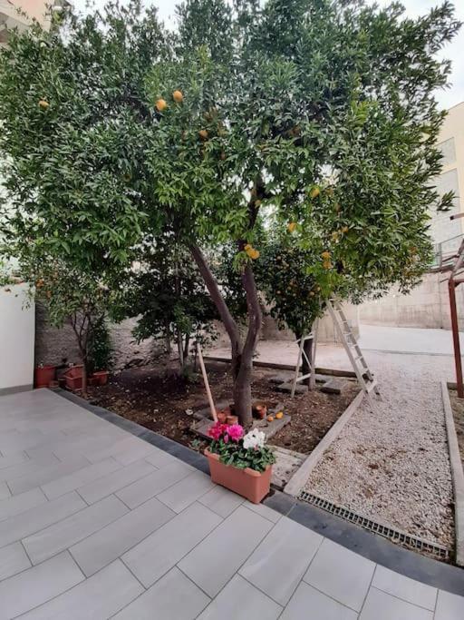 Lemon Tree Casa Vacanze Nel Verde Torre Annunziata Exterior photo